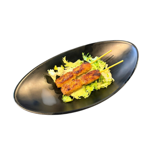 1992-Spiedini Satay Plant-Based 4PZ