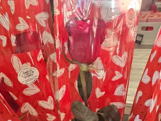 Rosa rossa in busta