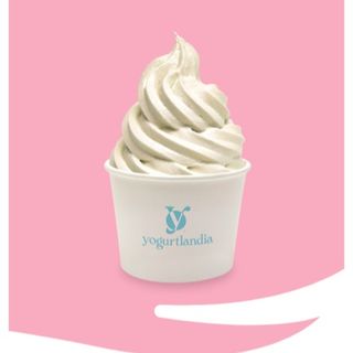 Yogurt gelato medio