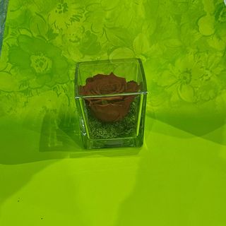 Rosa stabilizzata o eterna