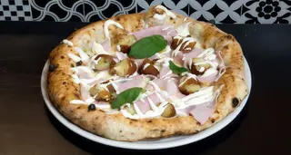 Fiocco