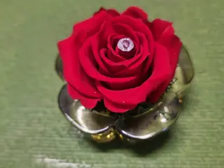 (5)Rosellina