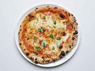 Margherita sbagliata rossa