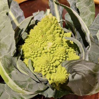 Broccolo Romanesco - 1kg