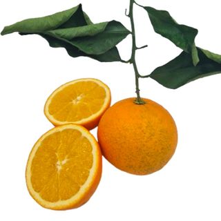 Arance da spremuta 1 kg