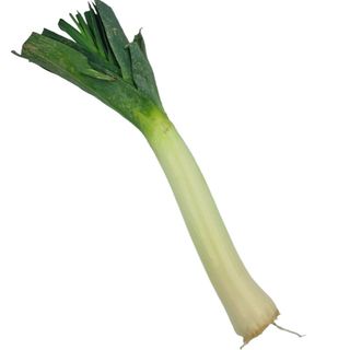 Porro - 500gr