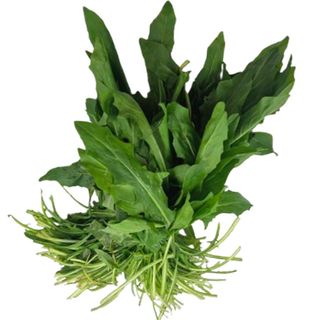 Cicoria a mazzi 500 g