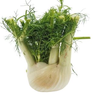 Finocchi 1 kg