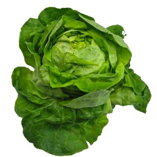 Insalata cappuccina 1 testa