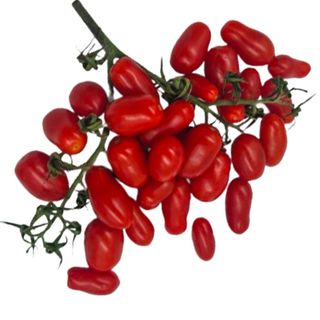 Pomodori datterino 500 g