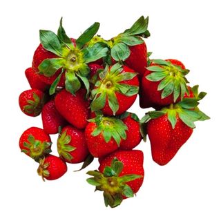 Fragole Cadonga 500g