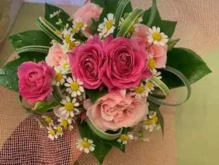 Rose e mimosa