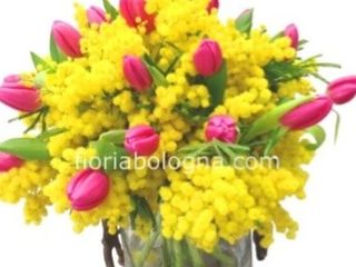 Bouquet tulipani e mimosa
