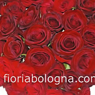 Bouquet di rose