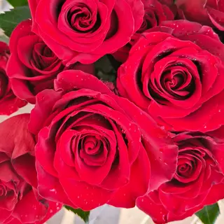 Bouquet di rose e nebbia
