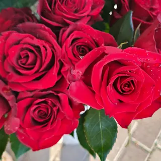 Bouquet di rose rosse