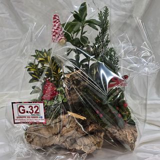 Composizione su tronco