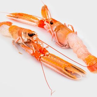 Scampi crudi al pezzo
