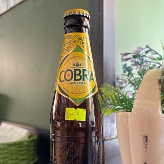 Cobra 66cl