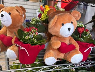 Piantina con orsetto