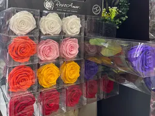 Rosa stabilizzata gambo lungo