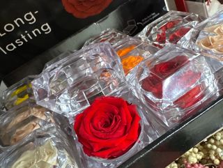 Rosa stabilizzata gioiello