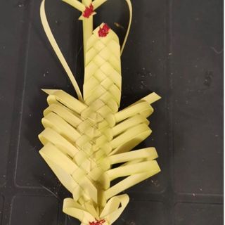 Palma lavorata di Gesu’