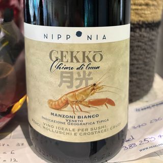 GEKKO VINO BIANCO PER SUSHI