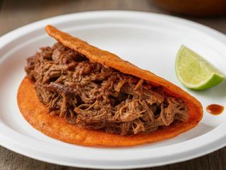Taco birria