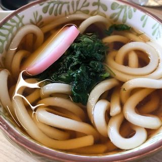MINI UDON