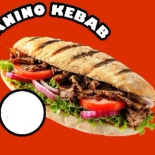 Panino kebab con carne di vitello incluse patatine(patatine dentro in panino)