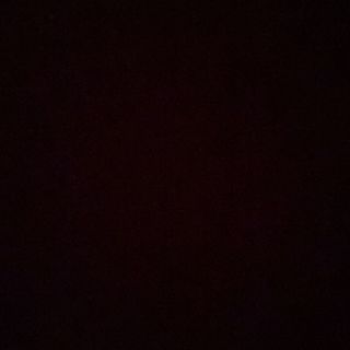 Tagliatelle alla bolognese 