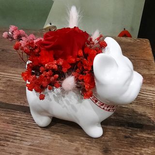 Red eternal rose in vase