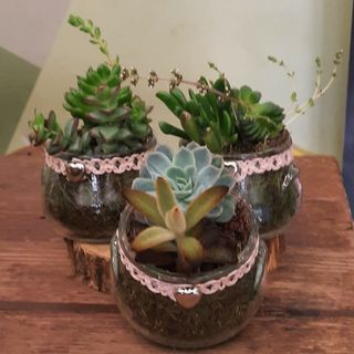 SMALL DESK PLANTS VASE