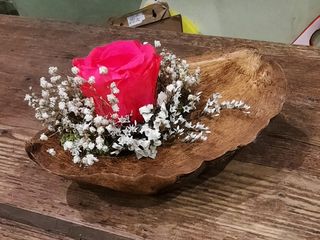 AMORE INFINITO COCONUT