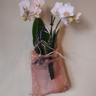 Country pocket white Regalo pronto