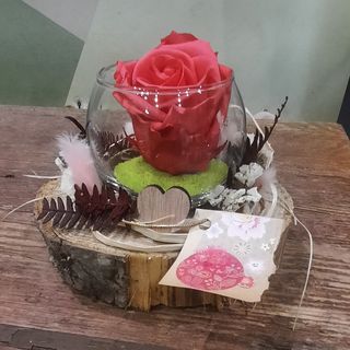 Eternal vintage pink rose