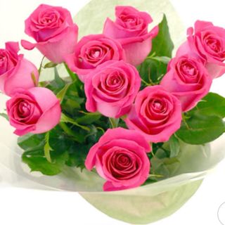 11 rose rosa