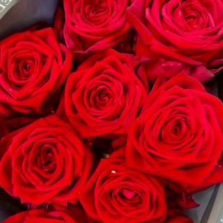 11 Red nomi