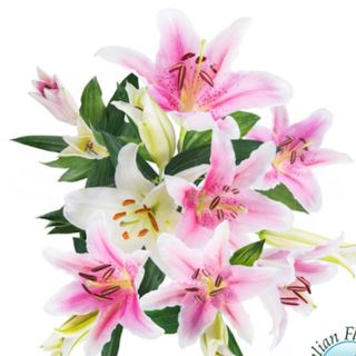 Bouquet di Gigli rosa