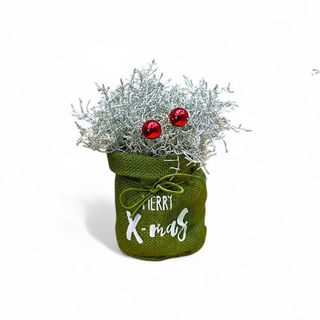 Leucoph brownii con sacchetto verde