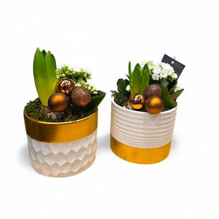 Christmas arrangement in a vase