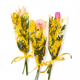 Ramo di mimosa con fiore