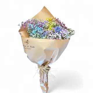 Bouquet di nebbiolina colorata