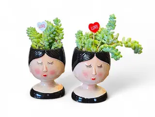 Botero plant