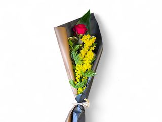 Rosa rossa con mimosa