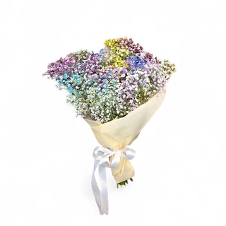 Bouquet new born nebbiolina colorata 