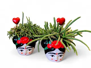 Frida Kahlo plant