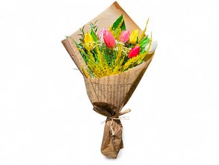 Tulipe élégance féminine