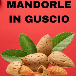 MANDORLE IN GUSCIO
